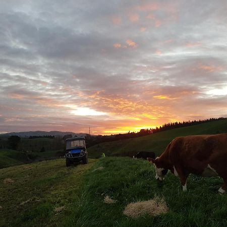 Above The River Karapiro Bed & Breakfast 외부 사진