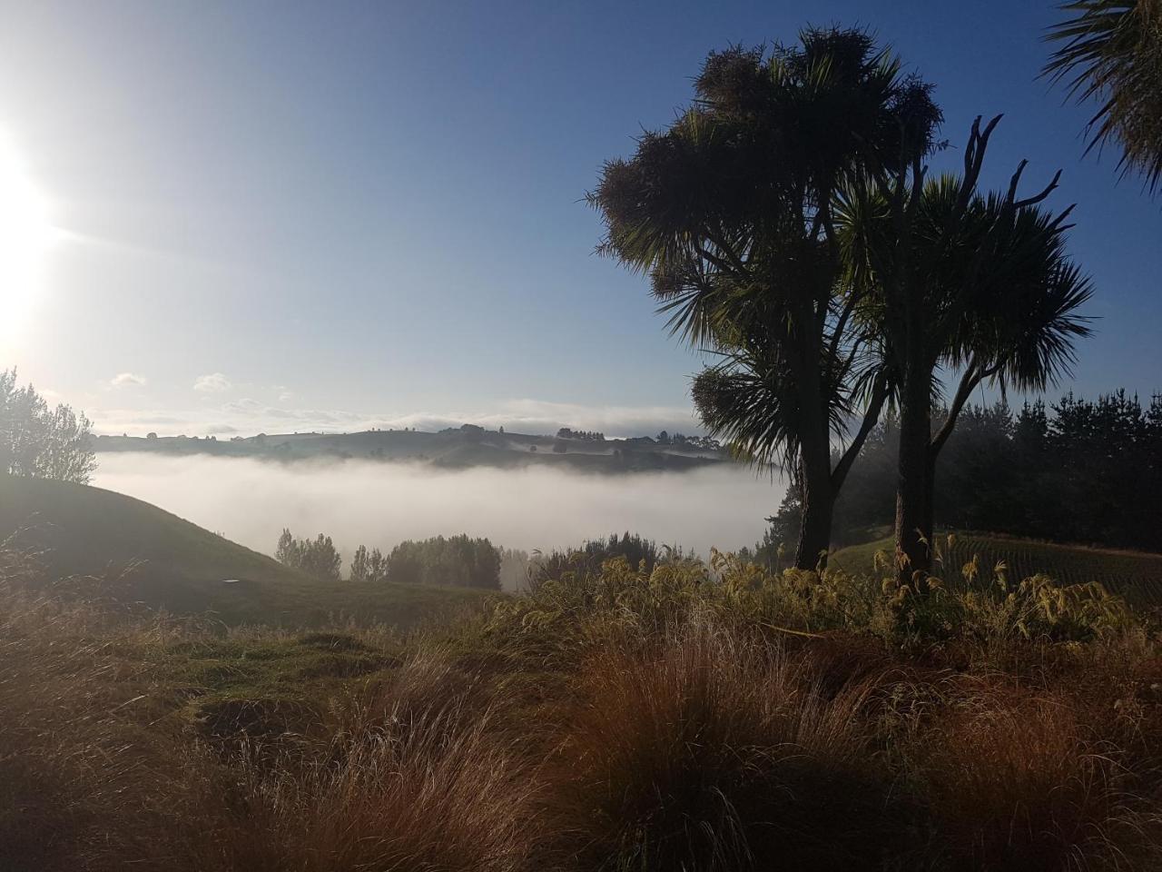 Above The River Karapiro Bed & Breakfast 외부 사진