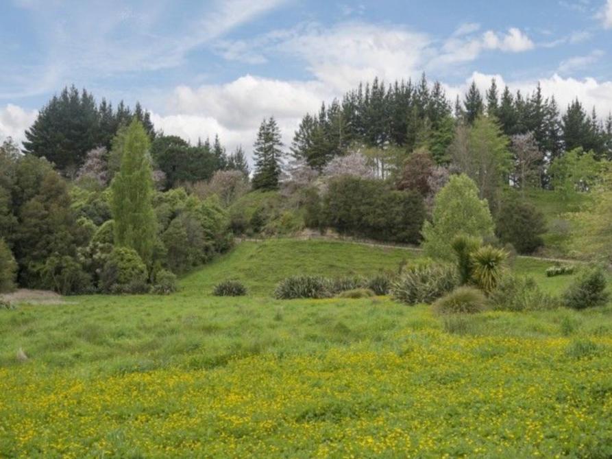 Above The River Karapiro Bed & Breakfast 외부 사진