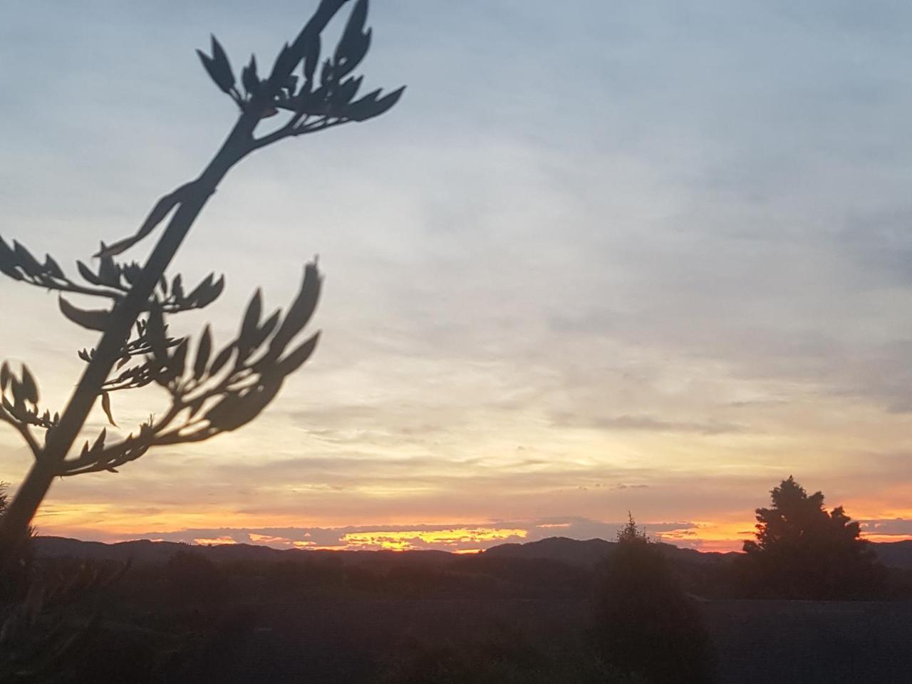 Above The River Karapiro Bed & Breakfast 외부 사진
