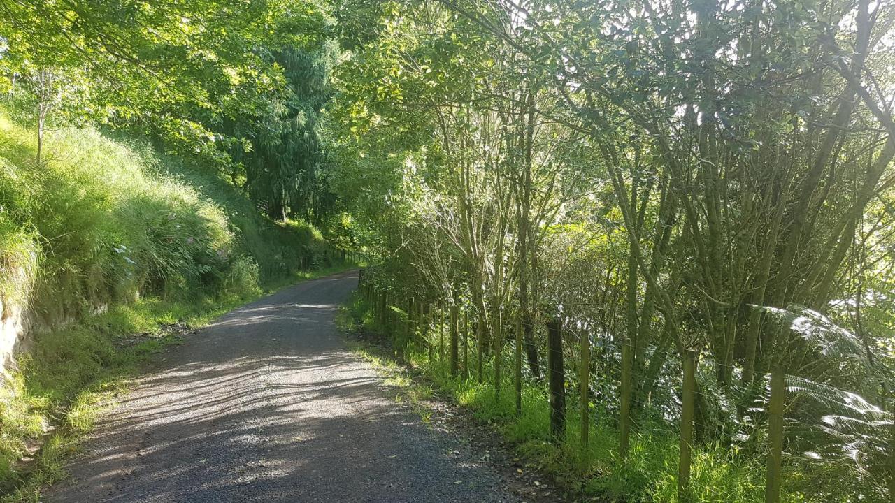 Above The River Karapiro Bed & Breakfast 외부 사진