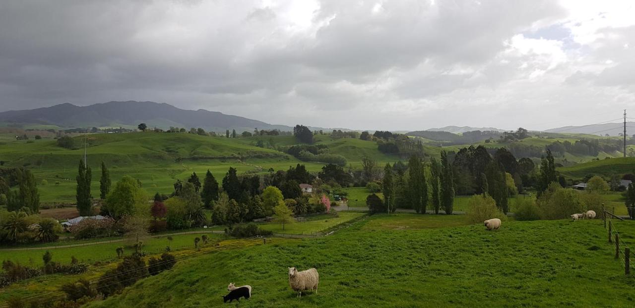 Above The River Karapiro Bed & Breakfast 외부 사진
